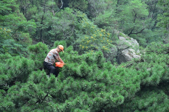 山东泰山风光