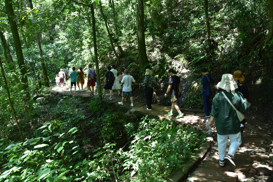 四川青城山问道青城山