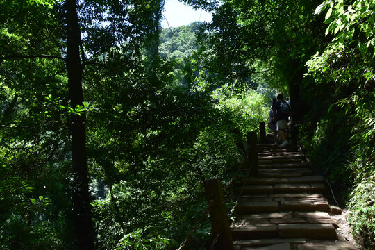 四川青城山问道青城山