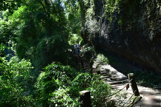 四川青城山问道青城山