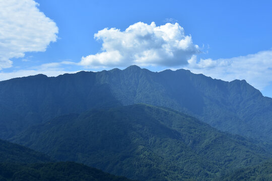 四川青城山问道青城山