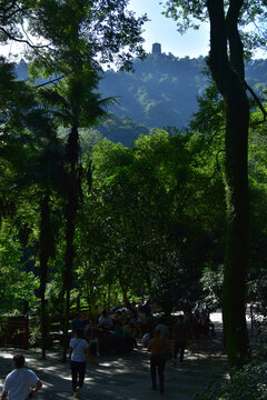 四川青城山问道青城山