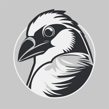 老鷹鳥頭矢量圖檔