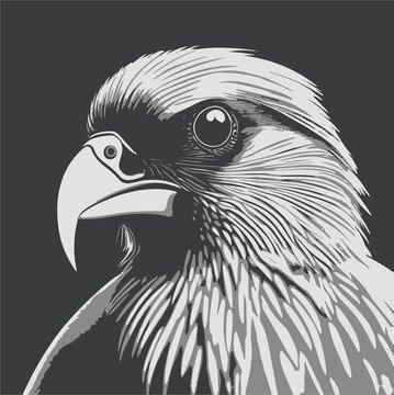 老鷹鳥頭矢量圖檔