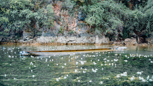 四川泸沽湖水性杨花