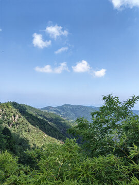 远山蓝天竹林