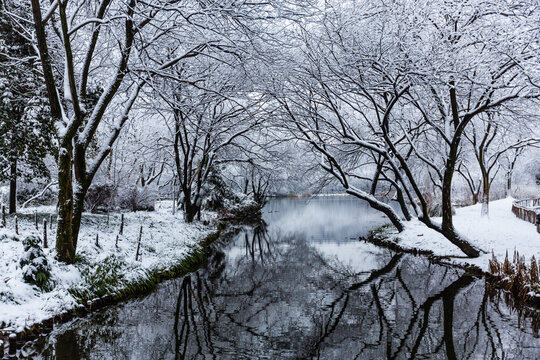 杭州茅家埠雪霁