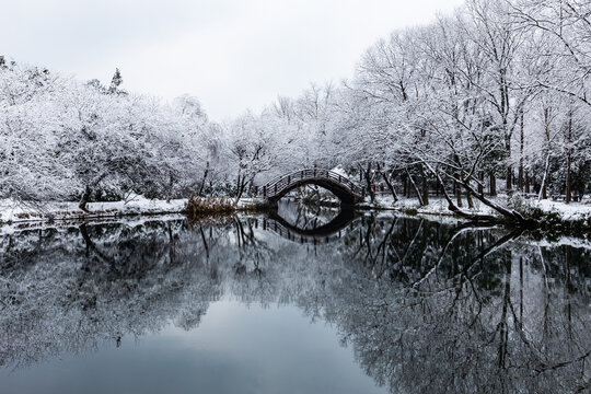 杭州茅家埠雪霁