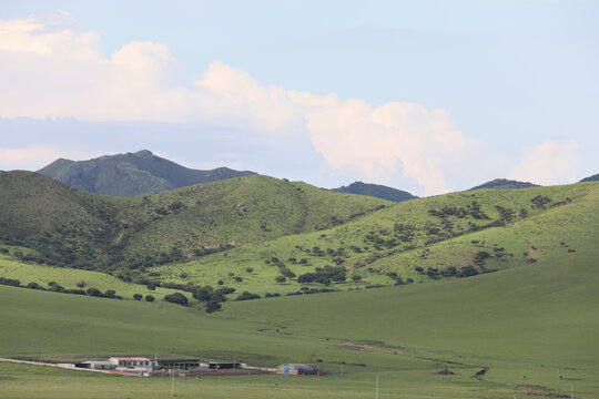 扎鲁特山地草原