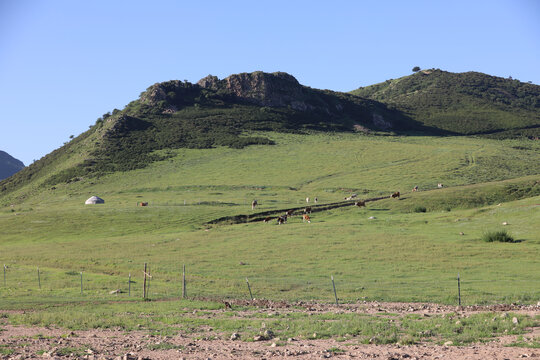 阿旗山地草原牧场