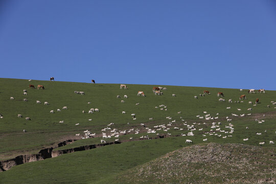 阿鲁科尔沁旗山地草原牧场