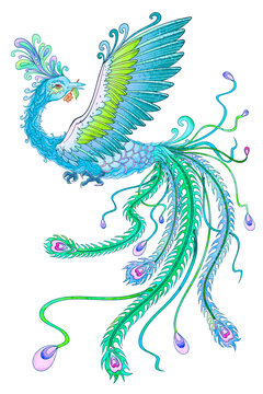 冰鳳凰翡翠鳳凰鳳凰插畫