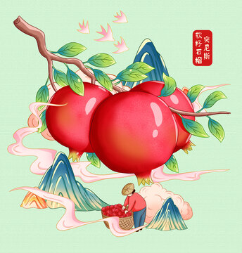 突尼斯軟籽石榴插畫手繪