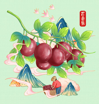 百香果插畫手繪