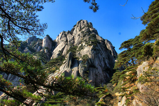 黄山山顶美景