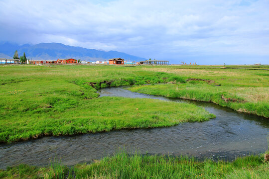 湿地小河