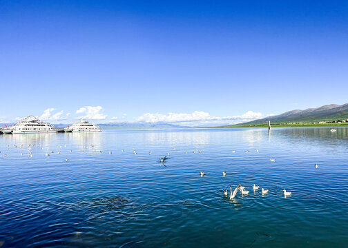 青海湖