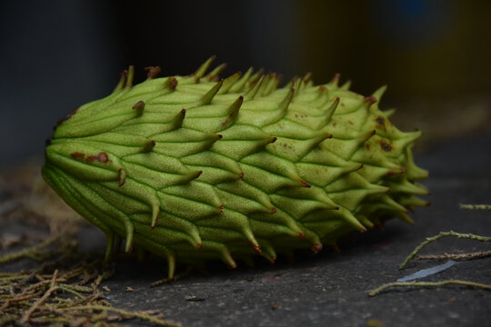 山东青岛风光