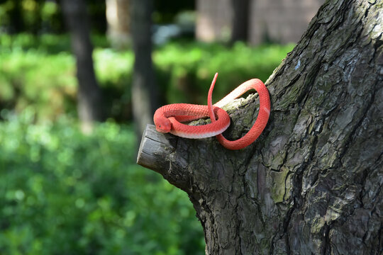 山东青岛风光