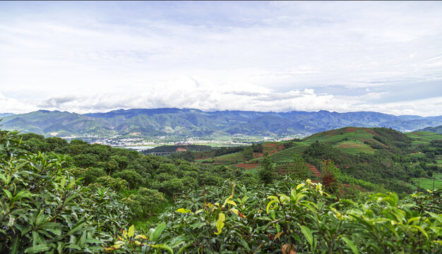 青山绿水