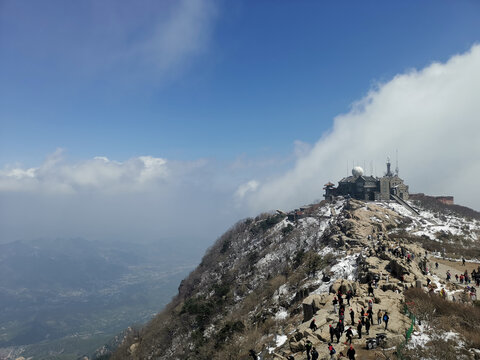 泰山云端