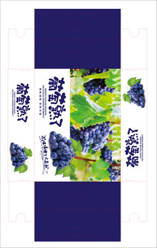 精品葡萄包裝禮盒