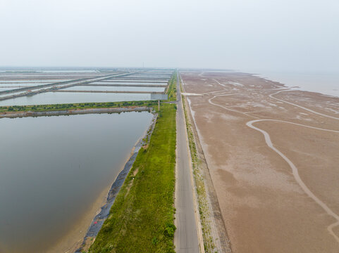 航拍东营红滩湿地海滨公园