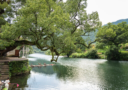 婺源上坦村自然风光