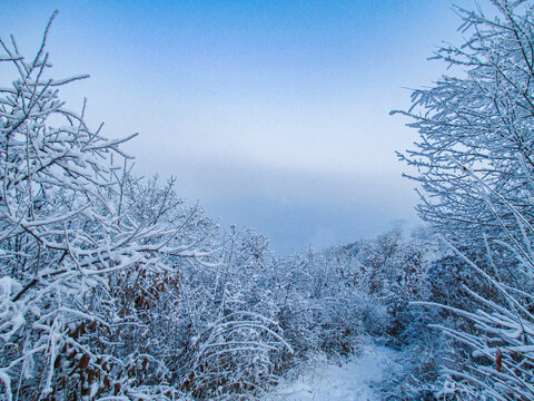 雪景