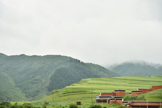 桑科草原