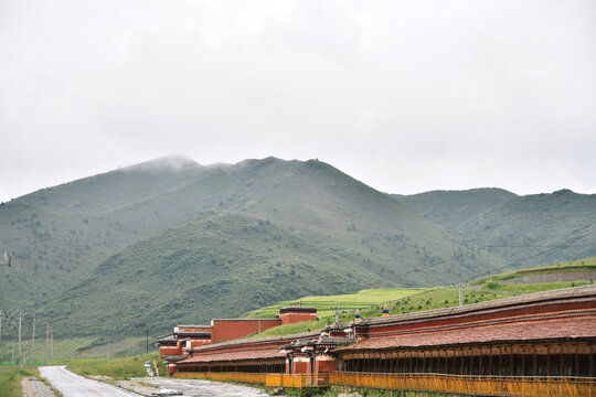 桑科草原