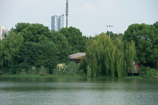 长沙市月湖公园里的湖边小屋