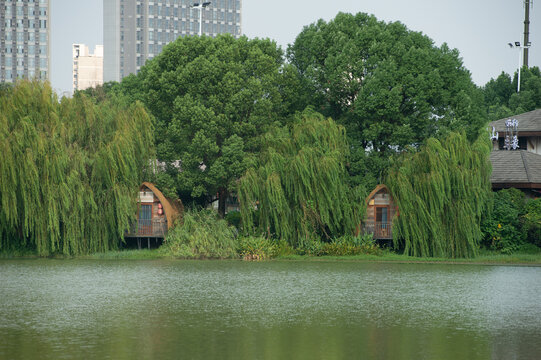 长沙市月湖公园里的湖边小屋