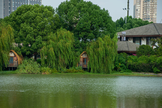 长沙市月湖公园里的湖边小屋