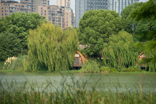 长沙市月湖公园里的湖边小屋