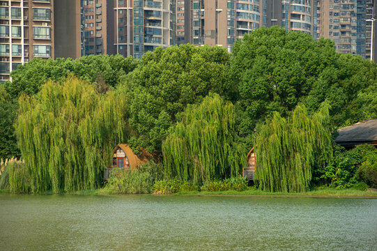 长沙市月湖公园里的湖边小屋