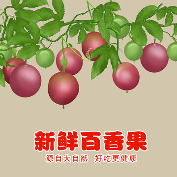 百香果插畫