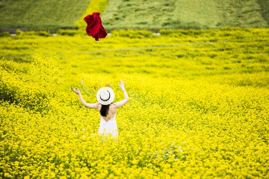 花田中的美女