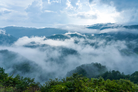 山间雨后森林云雾缭绕自然风光