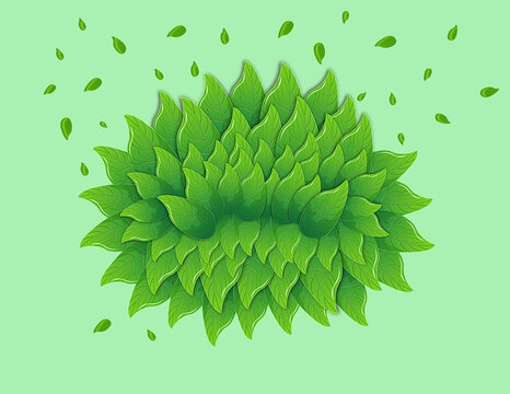 樹(shù)葉