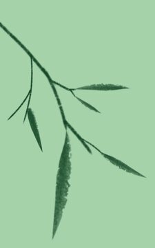 绿色背景树枝素材背景壁纸