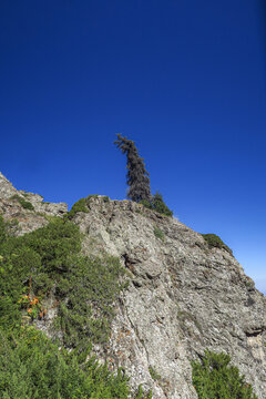 天山天池景区风光