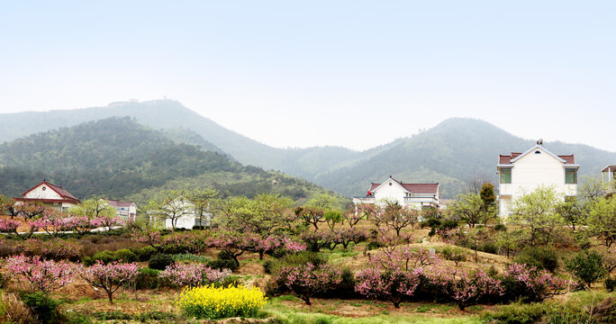 桃园小屋