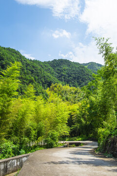 竹林山路