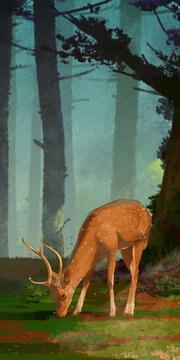手绘风景森岭中的梅花鹿