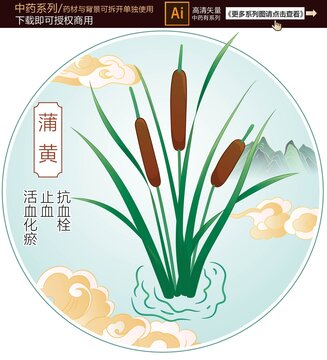 蒲黃