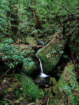 山间溪水