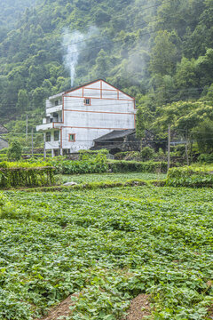 农村自然风光