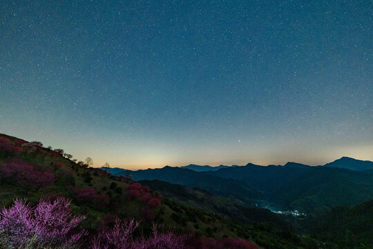 花海星空