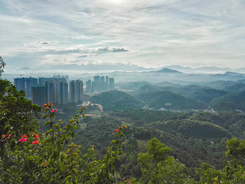 山上风景